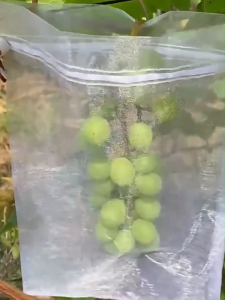 [ถุงผลไม้บรรจุหีบห่อ] นำกลับมาใช้ใหม่ได้ ถุงบรรจุผลไม้แมลงถุงตาข่ายไนลอน