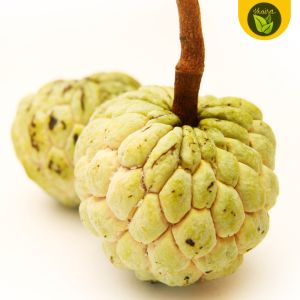 Atis Sugar Apple Sweet Fruit Binhi Pantanim Outdoor Plant Fruit Bearing Tree