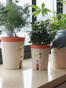 ยกเลิกกระถางพลาสติกสไตล์ Yves Saint Laurent ที่มีช่องเก็บน้ำพร้อมส่งในไทย