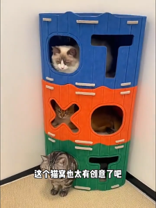 HATELI Portable Cat House Foldable Cat Beds for Indoor Cats Felt Enclosed Cave for Multiple Cats Scratch Resistant Bunk Beds Tunnels Tent Hideaway & Couch