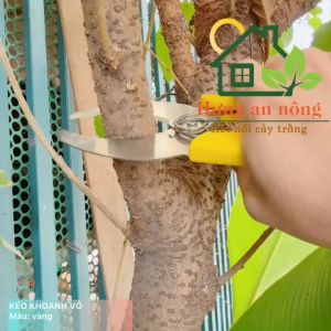 Kéo Khoanh Vỏ Chiết Cành Cây Lưỡi Đơn Răng Cưa  Công Cụ Hỗ Trợ Chiết Cành Hiệu Quả size 14.5cm ( xem trong mô tả)