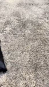 Celana Dewasa Cargo Termurah: Panduan Lengkap