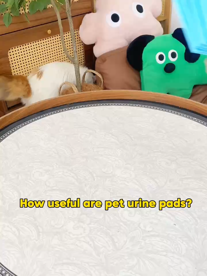 Kopipets Local Seller 950g Pet Pee Pads Great Value for Daily Dogs Puppies Cats Rabbits Senior Pets