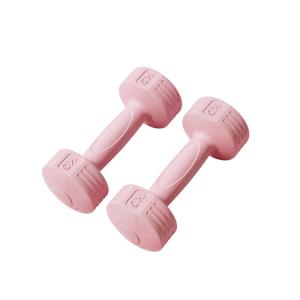 TEZEWA | Fitness Equipment Dumbbells 2KG Pair