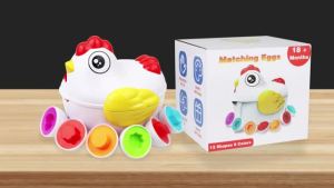 12 Phù Hợp Trứng Montessori Giác Quan Cho Bé Đồ Chơi Trứng Phục Sinh Gà Màu Sắc Hình Dáng Sorter Học Đồ Chơi Giáo Dục Cho Trẻ Em Quà Tặng
