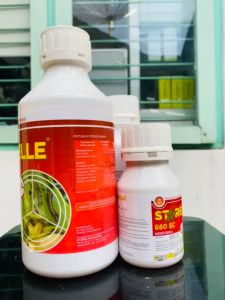 Insektisida STARELLE 660EC: Solusi Efektif & Aman untuk Pengendali Hama Polong