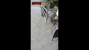 KNALPOT CUNG UNTUK TRUK HINO LOHAN