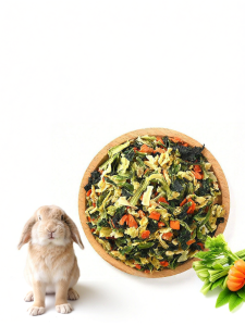 PET AND YOU | Thức Ăn Mài Răng Cho Thú Cưng