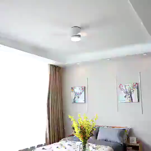 25inch small ceiling fan Ceiling Fan Light Home With Remote Control 6 Levels Adjustable For Kitchen Bedroom Dining Room
