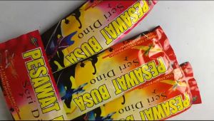 Mainan Pesawat Busa Bentuk Dino Anak Cowok Laki-laki Mainan Pesawat Murah TK PAUD Kreatif