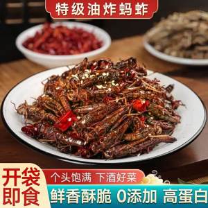 Ready-to-Eat Crispy Cumin Grasshopper Snack High-Protein