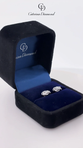 Khuyên tai nữ kim cương Moissanite 4mm Caterina Diamond Series Romantic Hall Earrings DE001