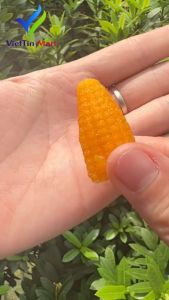 500G/1kg KẸO DẺO BẮP MIX ĐỦ VỊ MỀM MỊN DẺO THƠM NGON