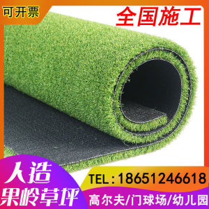 Artificial Golf Putting Green Lawn Carpet Curly Plastic Fake Grass for Kindergarten Ground Greening Simulation Plant