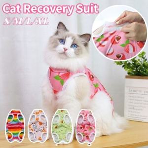 Cat Recovery Suit: A Professional & Comfortable Alternative to Elizabethan Collar