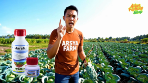 Insektisida Akarisida Marshal 200 EC 500ml Pembasmi Hama Kutu Ulat