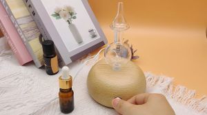 Waterless Aromatherapy Diffuser Professional Grade Wood and Glass Essential Oil Nebulizing Diffuser