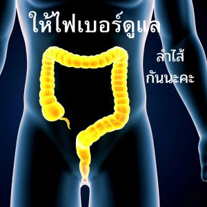 ไฟโต-ไฟเบอร์ ไฟเบอร์ ใยอาหาร ใยอาหารชนิดละลายน้ำ ใยอาหารไฟเบอร์ ใยอาหารผง กิฟฟารีนไฟเบอร์แท้ ผลิตภัณฑ์เสริมอาหารใยอาหาร กลิ่นน้ำผึ้ง ผสมมะนาว การขับถ่าย ลำไส้ เหมาะกับคนที่ท้องผูก Giffarine Phyto-Fiber คลอโรฟิลล์