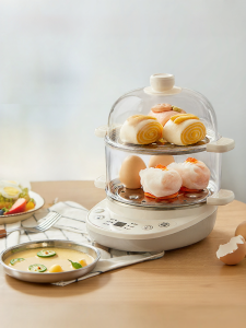 [China Plug Without Adapter] Bear | Home Mini Multi-Function Egg Steamer with Timer