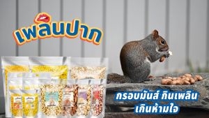 ถั่วเขียวซีกอบกรอบบรรจุแผง (25 ก. x 10 ถุง) 250 ก. มีม่อน รสออริจินัล(เกลือ) พร้อมทาน แบบแผง - ขายส่ง