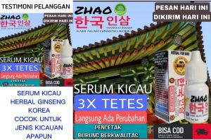 Top Fighter Lomba Burung Juara Berkicau Murai batu Suara Gacor Rajin Bunyi bongkar materi ANDALAS