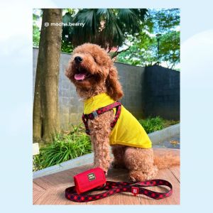WAUDOG Dog Leash | Soft Nylon Durable | 1.22m Small Medium Large Dogs