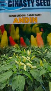 ANDIN small pack -+100 biji dan 10gr - Benih bibit biji unggul cabai rawit sayuran pedas Benih Inti