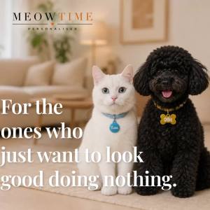 MeowTime Personalised - Laser-Engraved Aluminium Pet Name Tag for Cats and Dogs