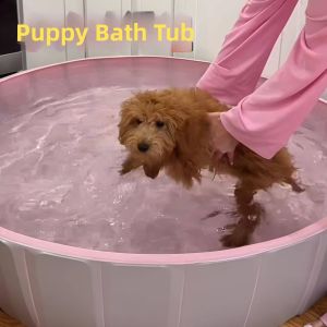FUNNYDEER | Foldable Large Pet Bathing Tub