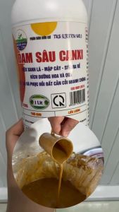 Phân bón ĐẠM SÂU CANXI chai 1 lít: Mập thân xanh lá dưỡng cây dưỡng trái