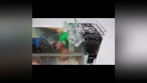 รองตู้ปลา หมดึม กรองแขวนตู้ปลา กรองน้ำตู้ปลา ตัวเล็ก และสวยงาม