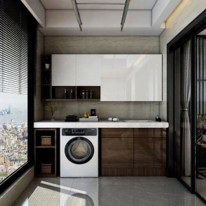Sun-Resistant Aluminum Washer Cabinet