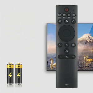 BIAOTU | Universal TV Remote Control