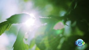 100% Pure Castor Oil - Cold-pressed Unrefined Hexane-free - Premium Quality - USP Grade (1 Gallon)