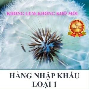 Son dưỡng có màu lâu trôi chính hãng Golden Rose son dưỡng môi goldenrose vision lipstick GR