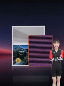 HUARUIYUAN | CN95 Standard Automotive Air Filter