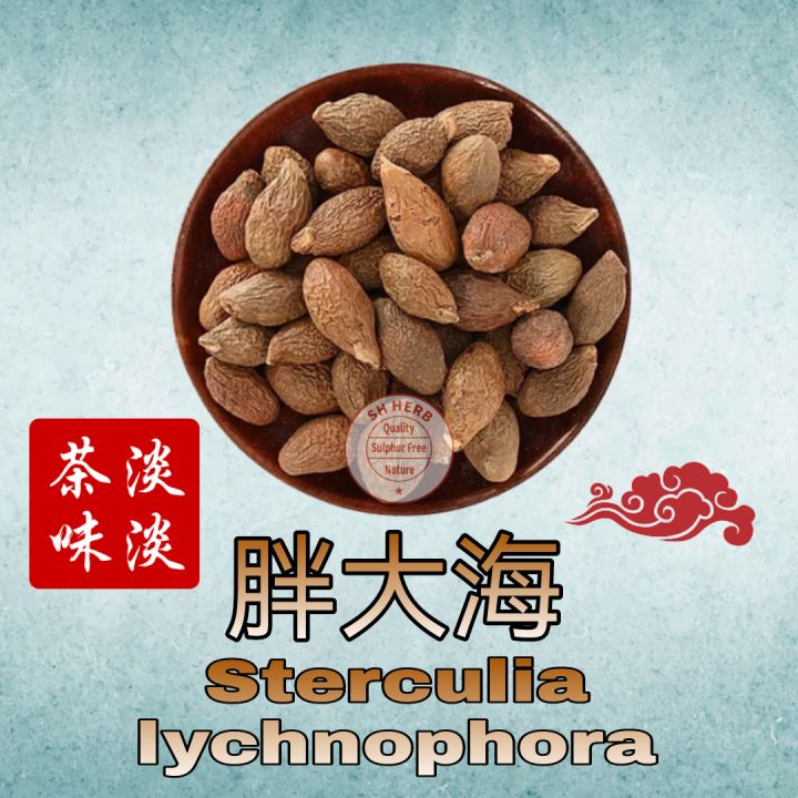 Amazon.co.jp: Fat Sea, Boat Fruit Sterculia Seeds, SEMEN