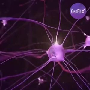 (Sales Agent)AcePlus GenPlus Brain Care Essence 萃丽补脑精 4g x 20s~~ Health Supplement Enhance Memory 增强记忆力 预防老人痴呆