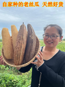 Natural Gourd Sponge Scrubbing Brush for Cleaning Dishes And Bath Scrubbing No Sulphur Soft Gourd Pulp for Peeling And Cooking