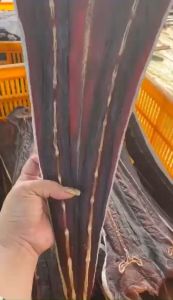 KHÔ CÁ ĐUỐI ĐEN ( CHÌ GIAO) LOẠI CAO CẤP 1KG/ 500GRAM ĐẶC SẢN YÊN VY