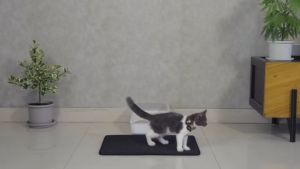 Pasir Kucing Karpet Double Layer Cat Litter Mat Trapping Mat Water Proof Washable Carpet Easy Clean