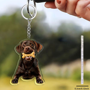 other | Cartoon Brown Labrador Acrylic Keychain with Bone 2D Cute Dog Pendant for Bag & Car Key Decor Ideal Holiday Party Gift