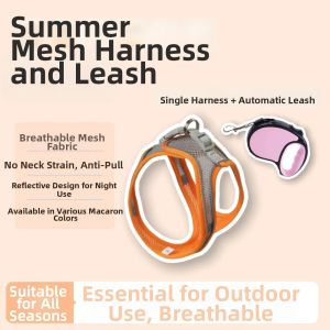 Escape-Proof Non-Choking Cat Leash