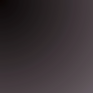 SSD M.2 NVME 2280 GEN 3 RAMSTA 512GB