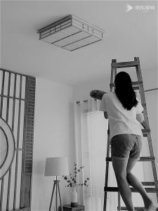 【300CM】Adjustable Microfiber Feather Duster & Telescopic Pole Cleaning Brush