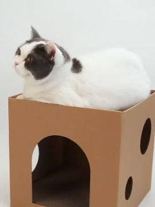 ที่ลับเล็บแมว ทรงกล่องขนาดใหญ่ ที่ลับเล็บแมว2in1 แมวเข้าไปนอนได้ทั้งตัว ที่ฝนเล็บแมว ของเล่นแมว พร้อมส่ง