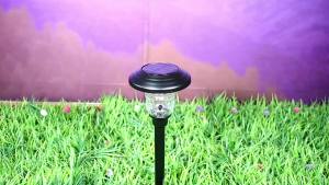 SXH Popular Solar Outdoor led Lawn lamp Stainless Steel Glass Garden Courtyard Landscape Decoration Ground Stake Light