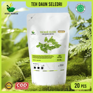 AMPUH OBATI HIPERTENSI KAMBUHAN Teh Herbal Celup Daun Seledri Turunkan Tekanan Darah Kadar Kolesterol dan Mencegah Penyakit Kanker