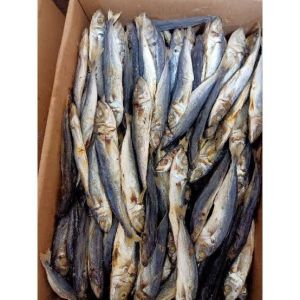 Ikan Asin Japuh Kering Super - 500 Gram