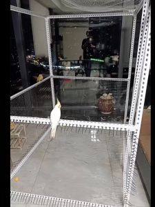 1.3mm DIY Shelf Bracket with Oval Holes 2025 – Adjustable Stainless Steel Angle Bar